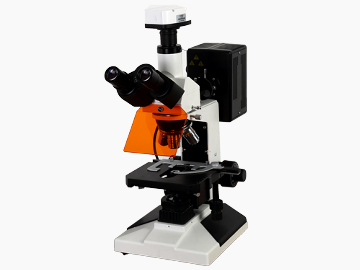 TFM-330荧光显微镜
